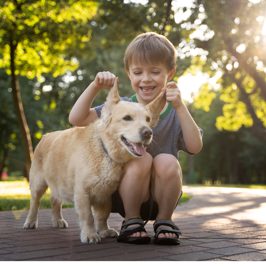 Motivos para seu filho ter um pet