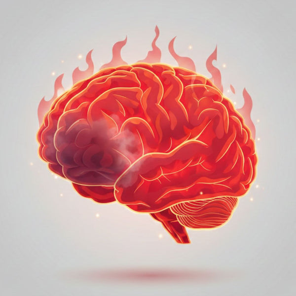 Cérebro com cortisol alto