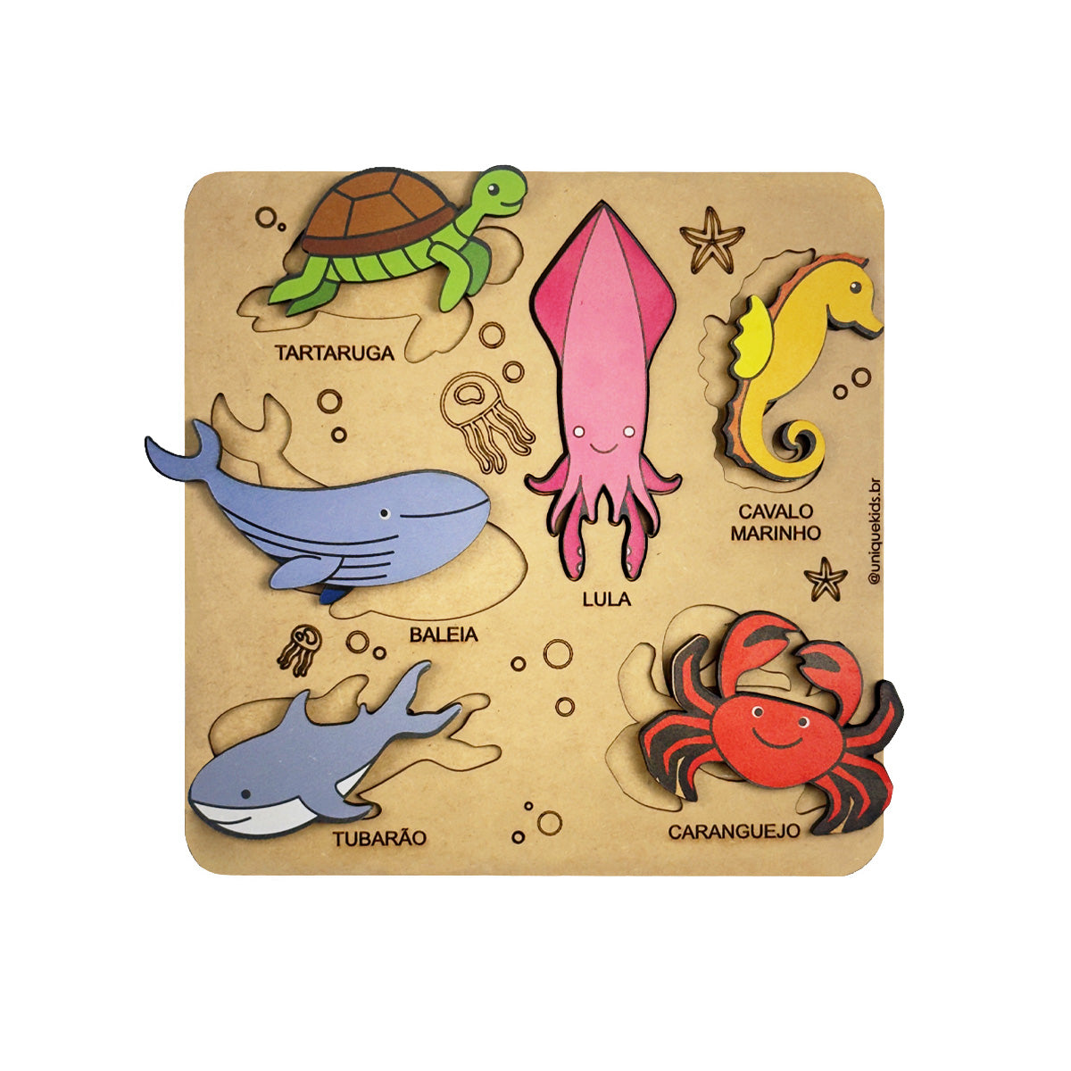 Combo Animais: Marinhos, Campo e Insetos